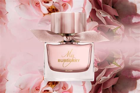 burberry my blush ร ว ว|burberry my blush.